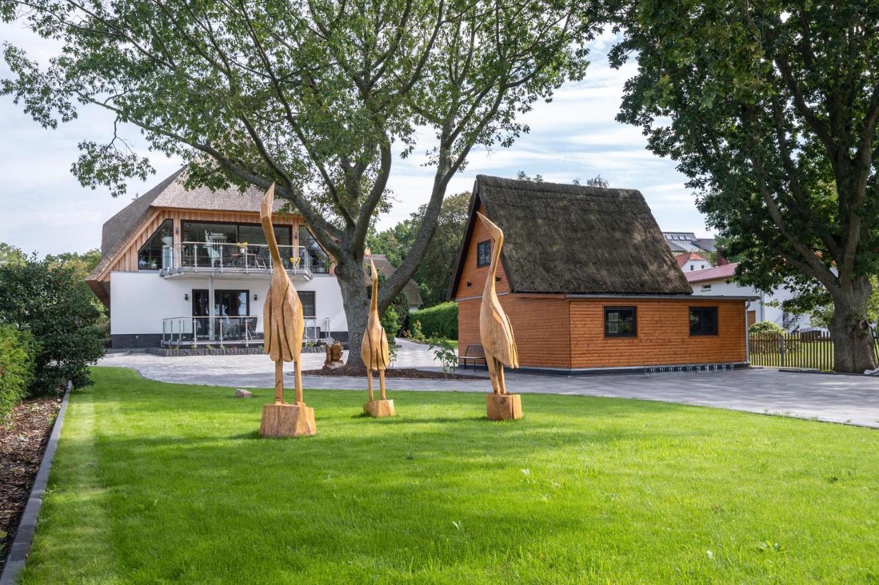 Ostsee Domizil 그랄뮈리츠 외부 사진